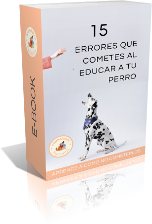 EBOOK 15 ERRORES
