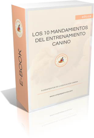 ebook 10 mandamientos