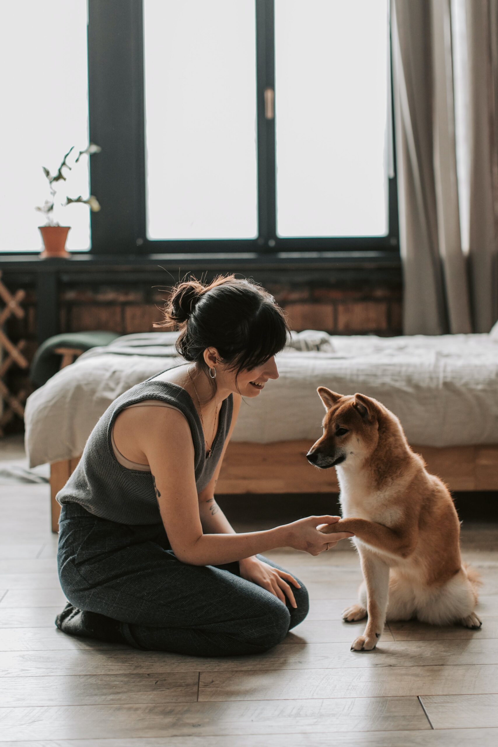 pexels-vlada-karpovich-6802905