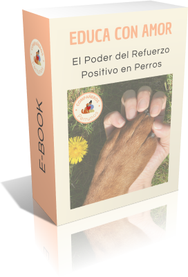 ebook amor